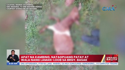 Apat na kambing, natagpuang patay at wala nang laman-loob sa Brgy. Basak | UB