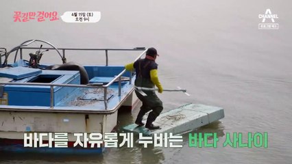 [예고] 바다를 자유롭게 누비는 바다 사나이! 평생 고생만 한 주인공에게 꽃길이 펼쳐질 수 있을까?