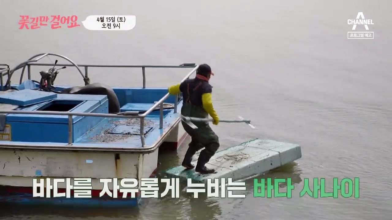 [예고] 바다를 자유롭게 누비는 바다 사나이! 평생 고생만 한 주인공에게 꽃길이 펼쳐...