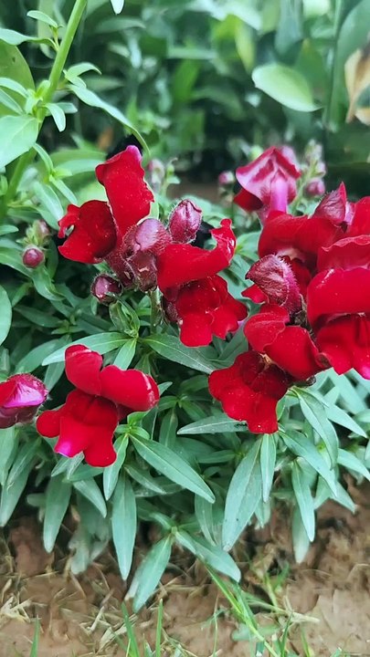 Beauty of nature 2