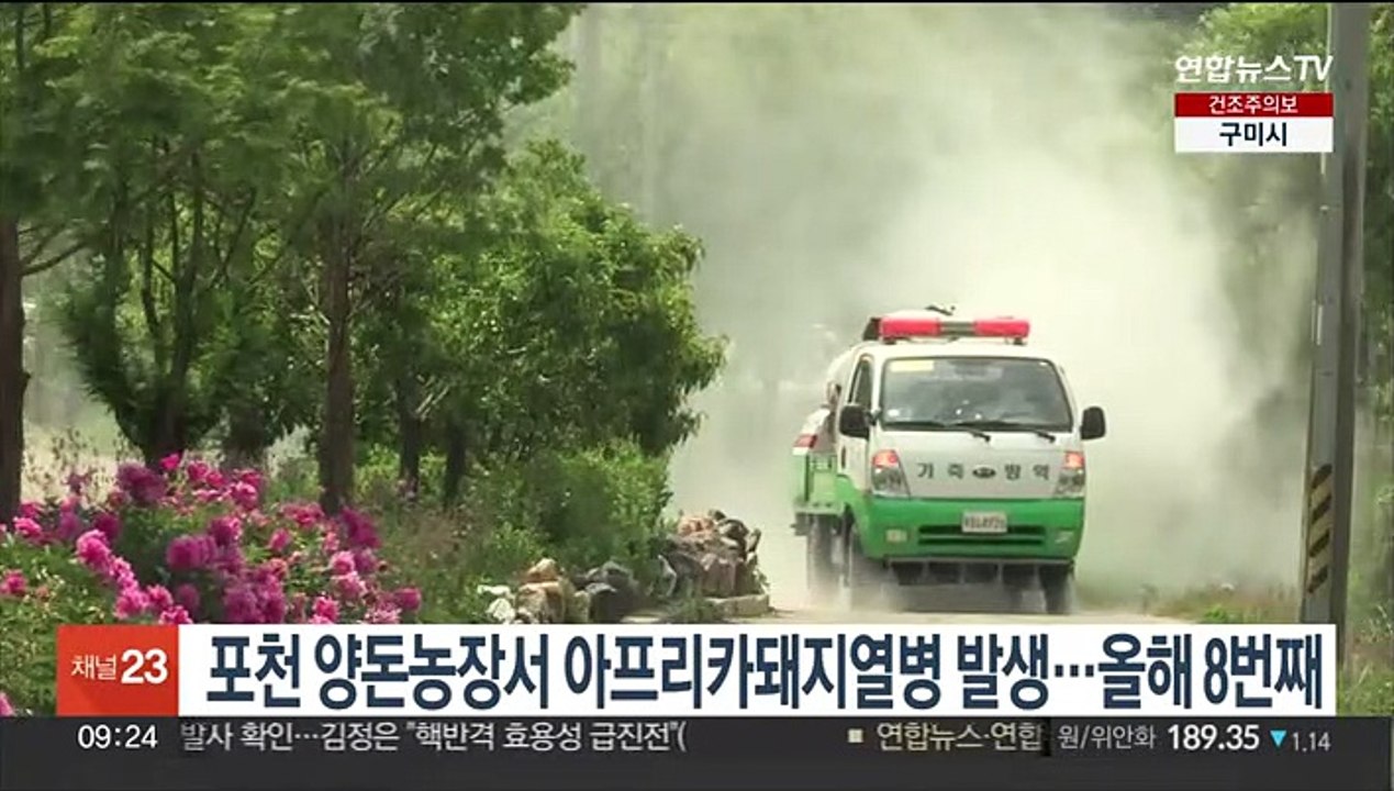 경기 포천 양돈 농장서 아프리카돼지열병 발생…올해 8번째