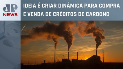 Ministério da Fazenda envia ao Congresso proposta para o mercado de carbono