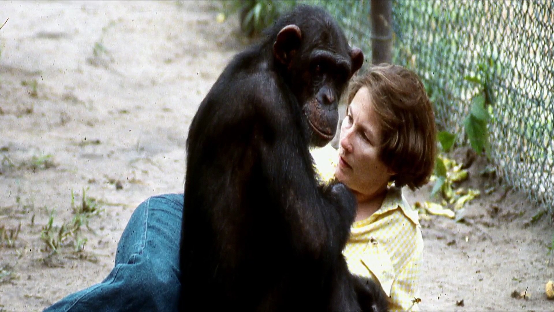 Lucy the Human Chimp 123Movies