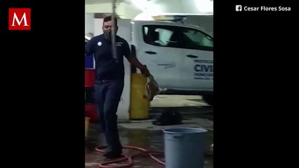 Bomberos de Monclova acusados de maltrato animal