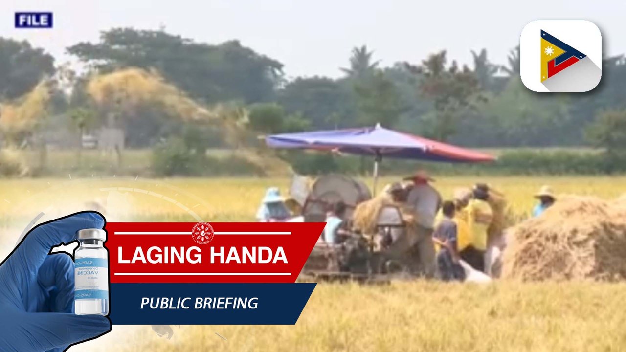 PBBM, tiniyak na sapat ang supply ng bigas sa bansa; buffer stock ng NFA, kailangang mapataas