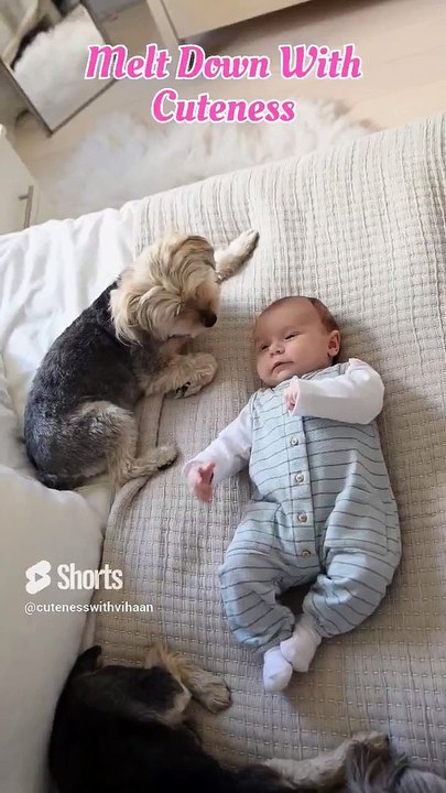 Funniest And Cutest Chubby Babies Ever | Stress Buster #shorts #cutebaby #cuteness #babies