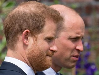 Bei Charles' Krönung: Harry soll von William isoliert werden