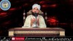 Jisne Roza Rasoolﷺ Ki Ziyarat Ki Us Ne.... - Bayan By Raza Saqib Mustafai - Qadri Naat And Lectures