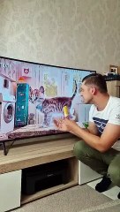 Crazy_Cat_#MyBloopers_#crazy_#cat_#shorts(360p)