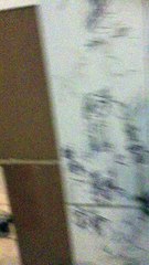 Bailey's House Homestesd, FL Before 2020