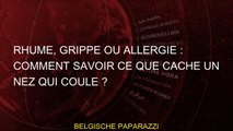 Rhume, grippe ou allergie : comment savoir ce que cache un nez qui coule ?