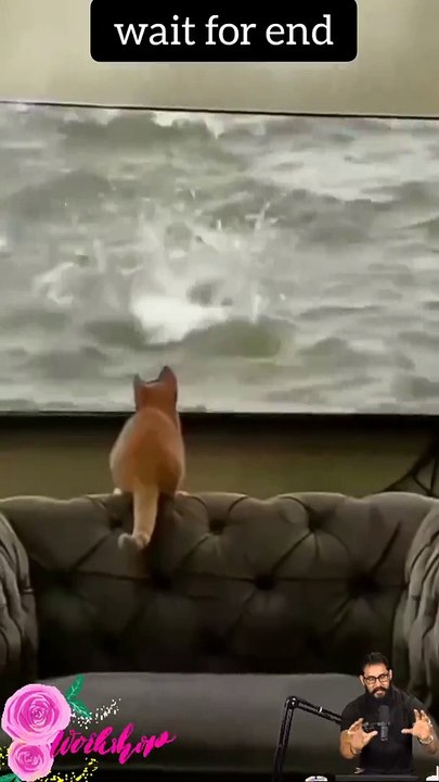 Tranding  Tranding Videos Today  Tranding Shorts #tranding #trandingshorts #shorts #viral 14-4-23 (1)