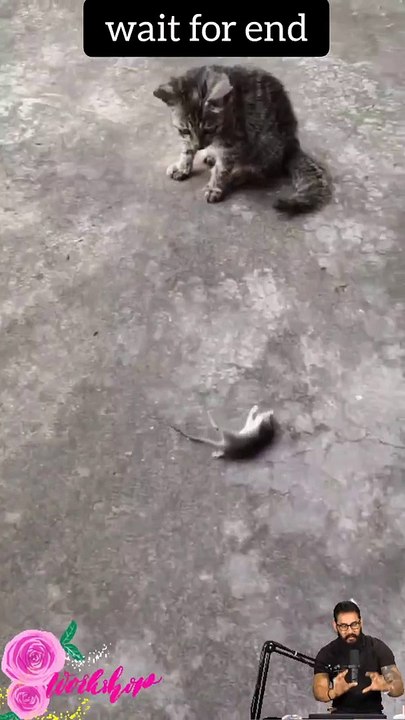 Tranding shorts on youtube-Tranding shorts video- tranding shorts channel#tranding #viral #shorts 14 (1)