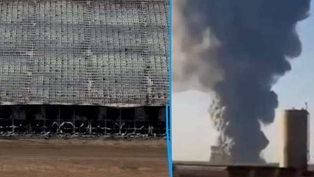 18 000 vaches meurent brûlées vives au Texas après l'incendie d'une ferme laitière