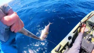 Offshore Kayak Fishing_ 500-pound MARLIN & More {CATCH CLEAN COOK}