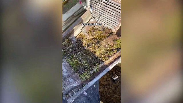 Couple added £230k to their home after renovating and painting roof tiles for £400