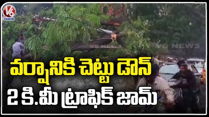 Heavy Tree Fell Down Due To Heavy Rain In Hyderabad | Traffic Jam | V6 News