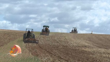 الجفاف في تونس يهدد بموسم إنتاج حبوب كارثي