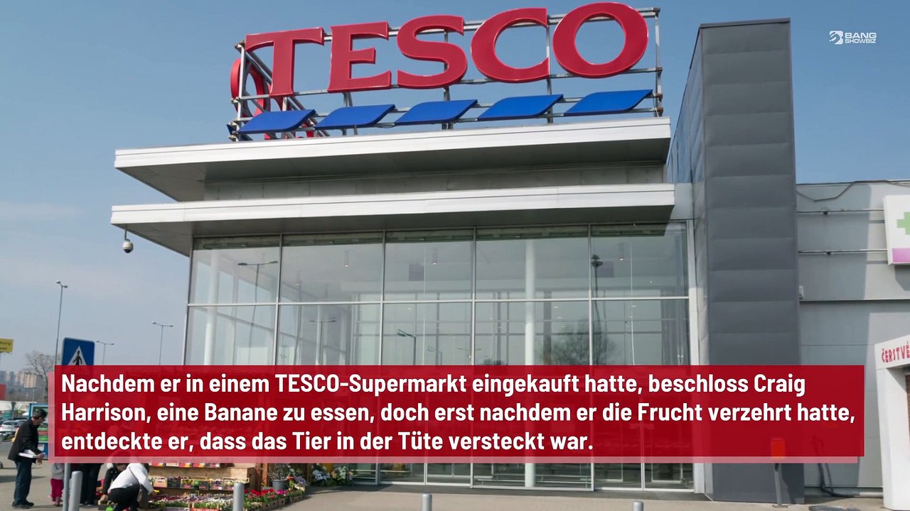 Mann entdeckt riesige Spinne in seinen Bananen