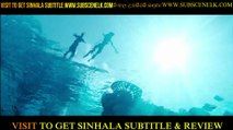 Avatar The Way of Water Sinhala Subtitle #subscenelk #avatar #movieclip #foryou #sinhalasub #sinhalasubtitle #srilanka #avatarthewayofwater #fypシ #action #film #lifehack #thrilar,#adventures