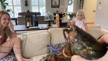 10 Years of Chasing my Wife with a Lobster