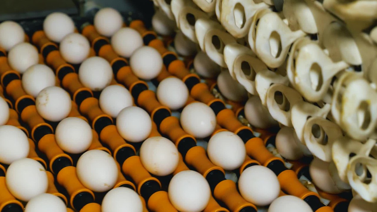 Never wash your eggs before cooking due to this...