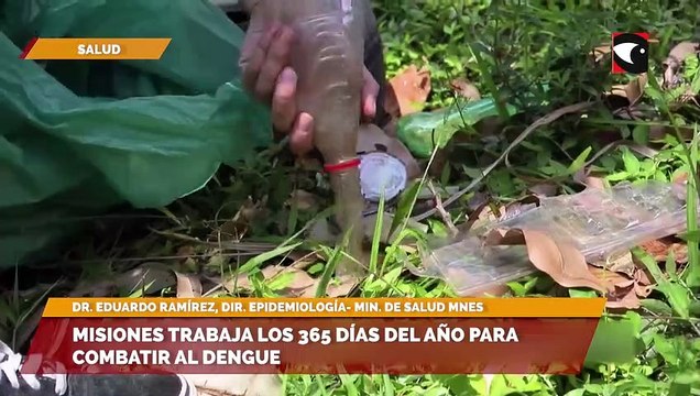 Misiones trabaja los 365 días del año para combatir al dengue