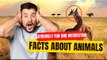 11 extremely fun and interesting facts about animals