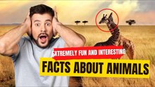 11 extremely fun and interesting facts about animals