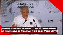 ¡VEAN! ¡Senador Narro revela lo que sí contamina la península de Yucatán y no es el Tren Maya!