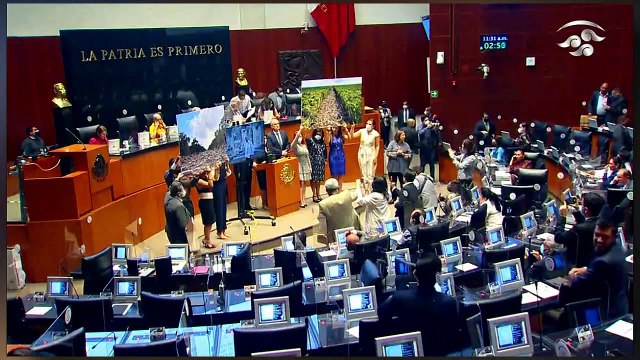 ¡VEAN! ¡morena aplasta el nuevo embate del PRIANRD-MC en contra del Tren Maya!