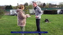 Reportage - Ce dresseur canin isérois fait du mentalisme avec ses chiens !