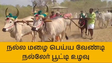 ஆலங்குடி: நல்ல மழை பெய்ய வேண்டி நல்லேர் பூட்டி உழவு!