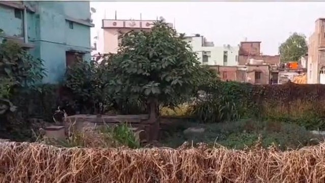 बिहार में फिर मोबाइल टावर ले उड़े चोर, इनकी तरकीब जान आप भी रह जाएंगे हैरान