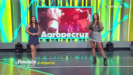 Agropecruz recibe a sus primeros ejemplares cebuinos y toma impulso para su apertura