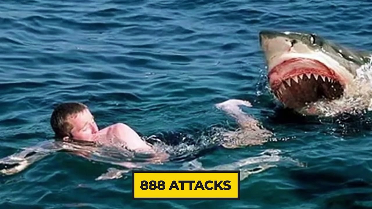 10 Most HORRIFIC Predator Animals in The Wild   Pet Spot