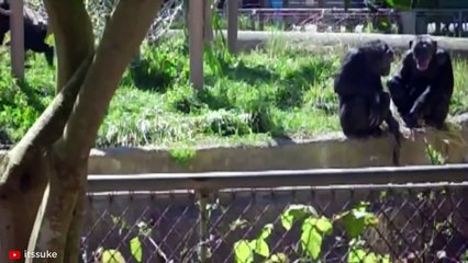 15 HORRIFIC Ways Animals Kill Their Prey   Pet Spot