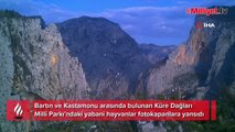 Küre Dağları'nda yabani hayvanlar fotokapanla görüntülendi