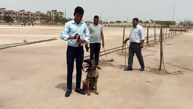 सचिन पायलट का प्लेट उड़ रहा ऑटो पायलट मोड पर