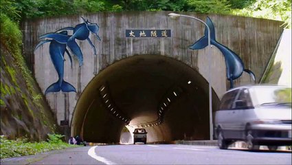 The Cove : La baie de la honte Bande-annonce (IT)