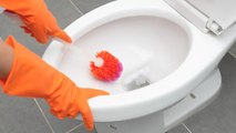 How to Clean the Toilet and Keep It Sparkling and Germ-Free
