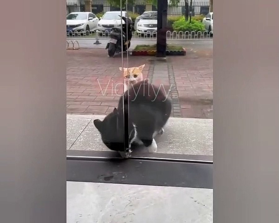 Open the damn door