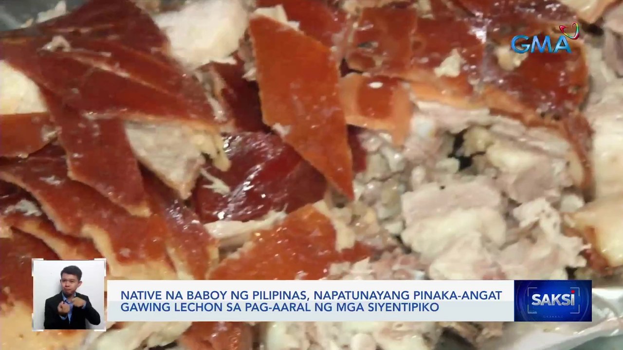 Native na baboy ng Pilipinas, napatunayang pinaka-angat gawing lechon ...