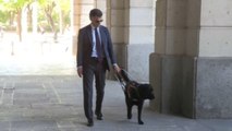 El perro guía Pusky se convierte en los 'ojos' de un juez de Sevilla