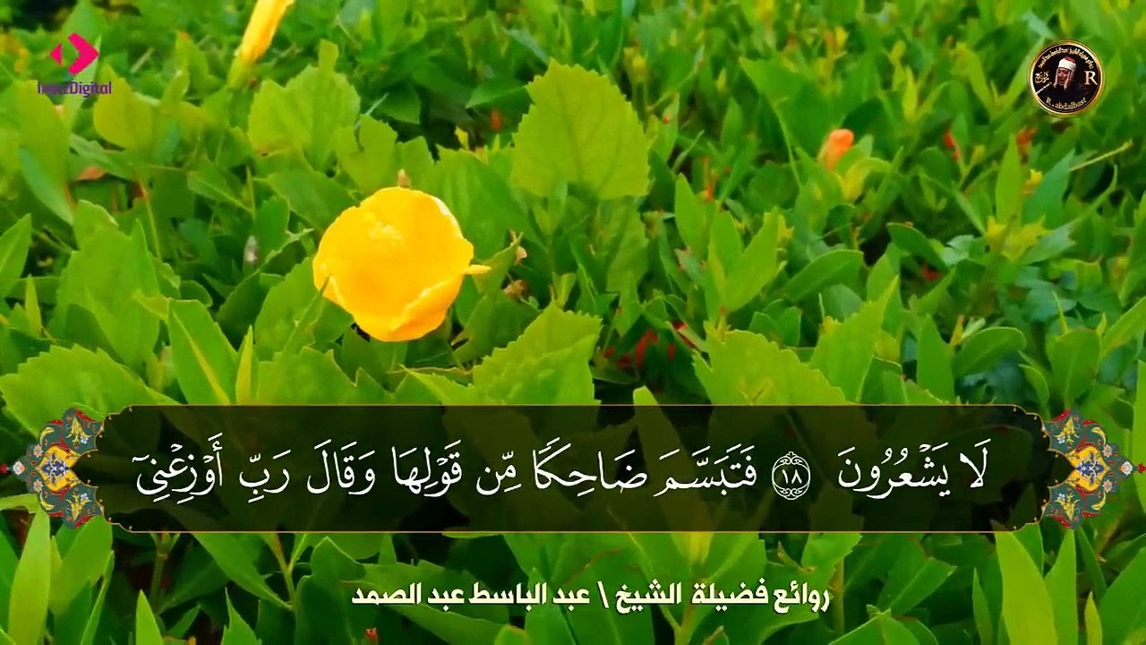 صوته يقتل حزن قلبك فضيلة الشيخ عبد الباسط عبد الصمد Sheikh Abdulbasit Abdussamad