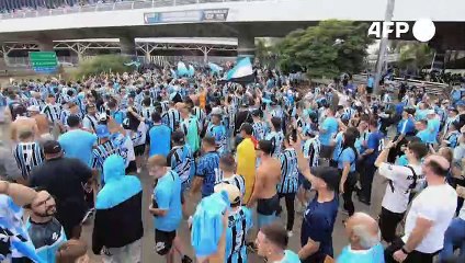 حُمّى "سواريسمانيا" تجتاح بورتو أليغري