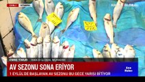 İstanbul'da sezonun son balıkları tezgahta kaç liraya satılıyor?