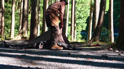 Solo Camping at Forest in Japan
