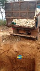 PM apreende 11.400 kg de queijo artesanal no interior de MG