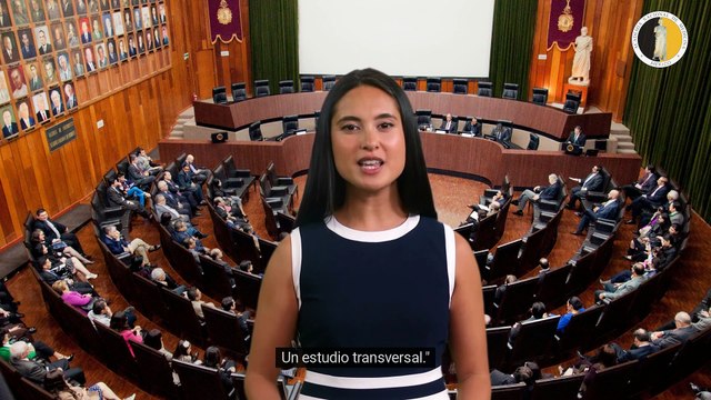 Síndrome metabólico y microangiopatía en la diabetes mellitus tipo 1